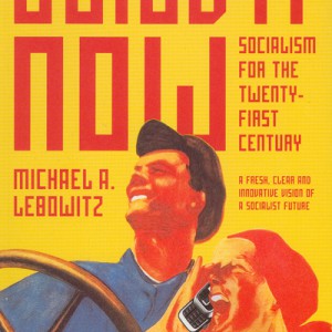 Build It Now: Socialism for the 21st Century