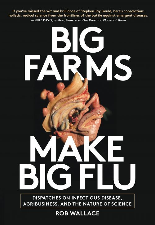 Big Farms Make Big Flu