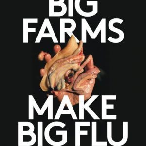 Big Farms Make Big Flu