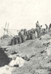 Stacking guano in the Ballestas Islands