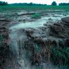 Nutrient pollution caused by Surface runoff of soil and fertilizer during a rain storm (1999)