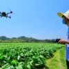 A drone applying pesticide on a field in Huichang, Jiangxi province