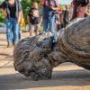 Fallen Christopher Columbus statue outside the Minnesota State Capitol after a group led by American Indian Movement members tore it down in St. Paul, Minnesota on June 10, 2020