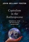 Capitalism in the Anthropocene: Ecological Ruin or Ecological Revolution