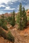 Navajo Trail, Bryce Canyon National Park, Utah, USA