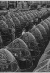 Stars over Berlin and Tokyo will soon replace these factory lights reflected in the noses of planes at Douglas Aircraft's Long Beach, Calif., plant. Women workers groom lines of transparent noses for deadly A-20 attack bombers